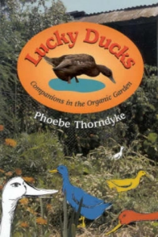 Buch Lucky Ducks Phoebe Thorndyke