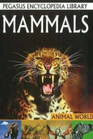 Könyv Mammals 