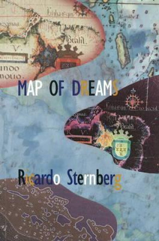 Kniha Map of Dreams Ricardo Steinberg