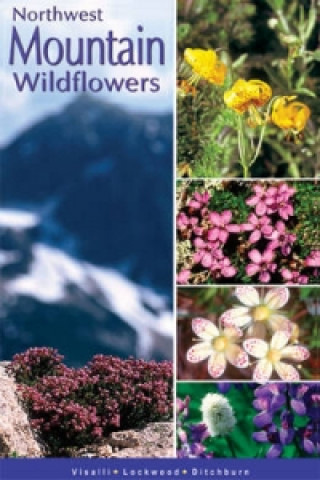 Carte Northwest Mountain Wildflowers Walter Lockwood