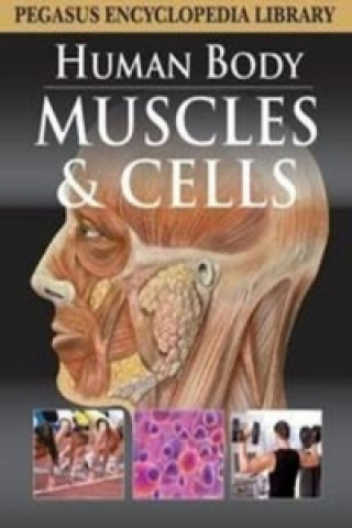 Book Muscular System Pegasus