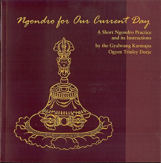 Kniha Ngondro for Our Current Day Gyalwang Karmapa