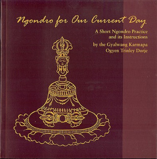 Książka Ngondro for Our Current Day Gyalwang Karmapa