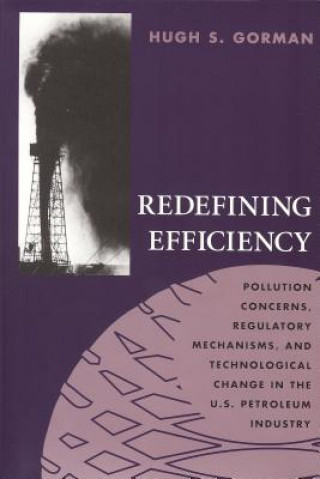 Knjiga Redefining Efficiency Hugh S. Gorman