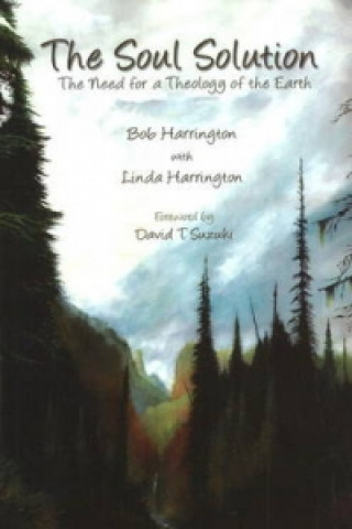 Knjiga Soul Solution Linda Harrington