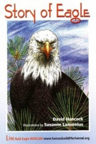 Kniha Story of Eagle Activity & Coloring Book David Hancock