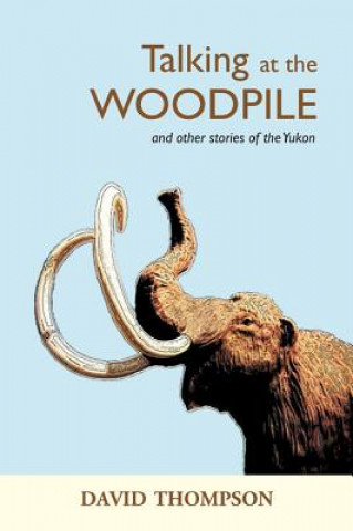 Könyv Talking at the Woodpile David Thompson