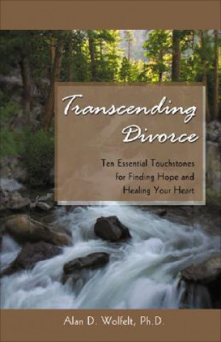 Knjiga Transcending Divorce Wolfelt