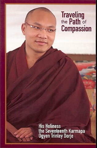 Książka Traveling the Path of Compassion Ogyen Trinley Dorje