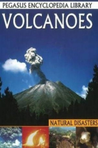 Könyv Volcanoes 