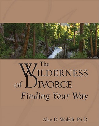 Книга Wilderness of Divorce Wolfelt