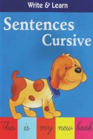 Kniha Sentences Cursive B Jain Publishing
