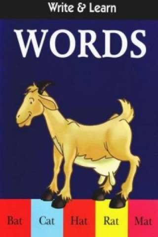 Knjiga Write & Learn Words B Jain Publishing