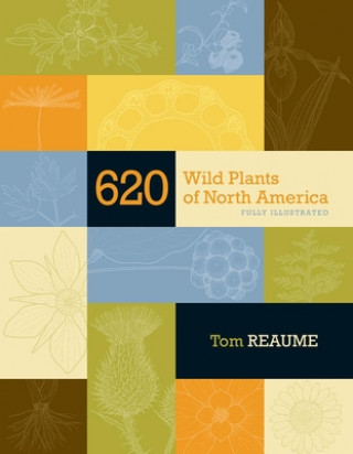 Könyv 620 Wild Plants of North America Tom Reaume