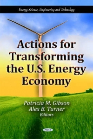 Książka Actions for Transforming the U.S. Energy Economy 