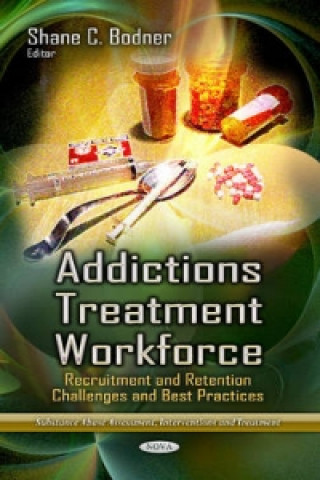 Könyv Addictions Treatment Workforce 