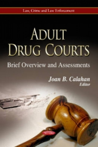 Książka Adult Drug Courts 