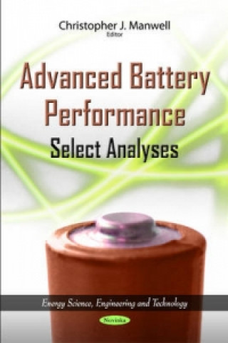Книга Advanced Battery Performance 