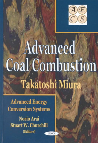 Kniha Advanced Coal Combustion Takatoshi Miura