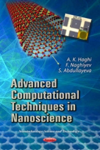 Книга Advanced Computational Techniques in Nanoscience 