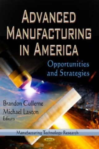 Könyv Advanced Manufacturing in America 
