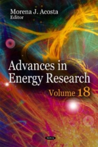 Könyv Advances in Energy Research. Volume 18 