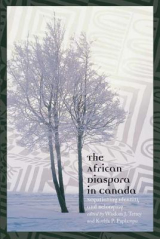 Kniha African Diaspora in Canada Korbla Puplampu