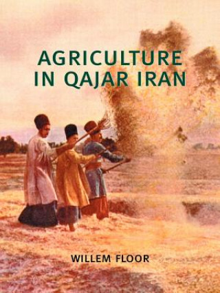 Kniha Agriculture in Qajar Iran Willem Floor