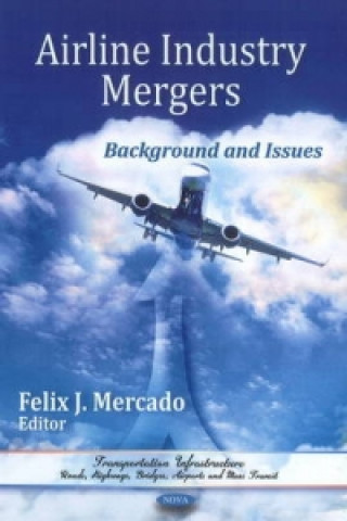 Kniha Airline Industry Mergers 