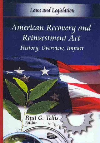 Kniha American Recovery & Reinvestment Act 