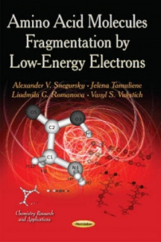 Kniha Amino Acid Molecules Fragmentation by Low-Energy Electrons Vasyl Vukstich