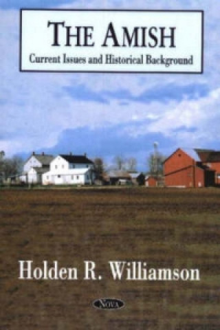 Книга Amish Holden R. Williamson