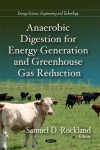 Buch Anaerobic Digestion for Energy Generation & Greenhouse Gas Reduction 