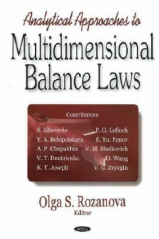 Book Analytical Approaches to Multidimensional Balance Laws 