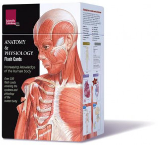 Nyomtatványok Anatomy & Physiology Flash Cards Scientific Publishing