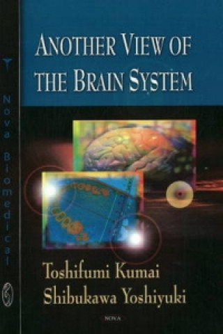 Książka Another View of the Brain System Shibukawa Yoshiyuki