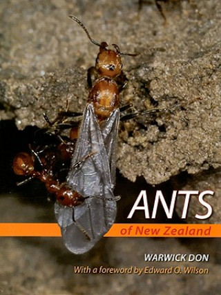 Carte Ants of New Zealand Warwick Don