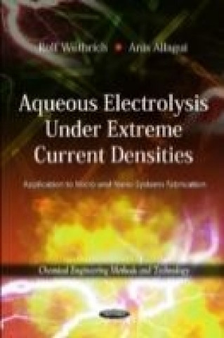 Knjiga Aqueous Electrolysis Under Extreme Current Densities Anis Allagui