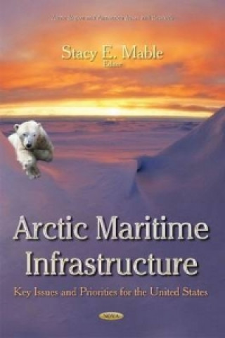 Kniha Arctic Maritime Infrastructure 