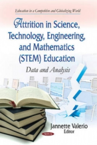 Kniha Attrition in Science, Technology, Engineering & Mathematics (STEM) Education 