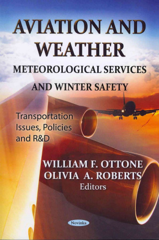 Könyv Aviation & Weather 