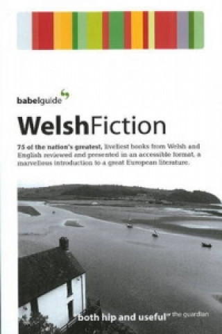 Carte Babel Guide to Welsh Fiction Ray Keenoy
