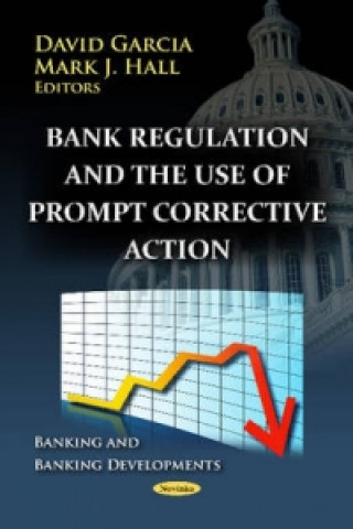 Kniha Bank Regulation & the Use of Prompt Corrective Action 