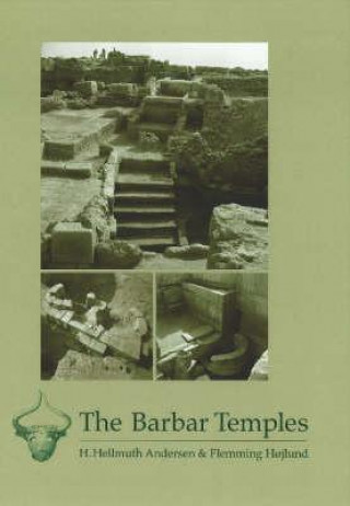 Könyv Barbar Temples Flemming Hojlund