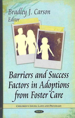 Könyv Barriers & Success Factors in Adoptions from Foster Care 