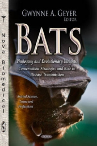 Könyv Bats 