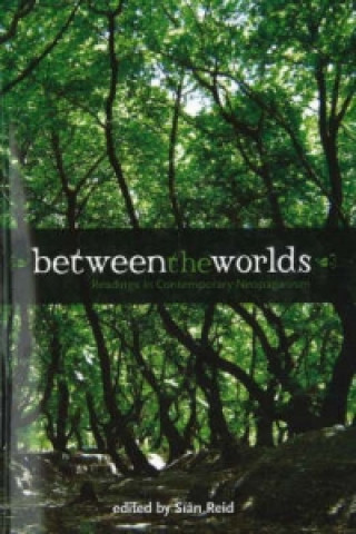 Book Between the Worlds Sian Reid