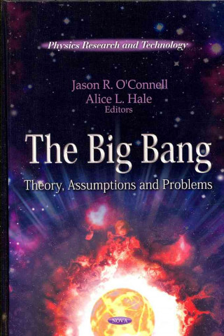 Książka Big Bang 