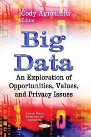 Kniha Big Data 