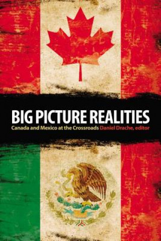 Kniha Big Picture Realities Daniel Drache